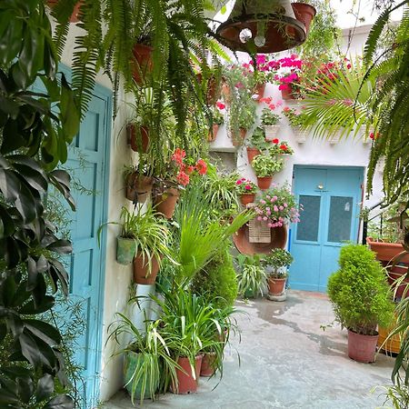Apartamento La Muralla Vejer de la Frontera Eksteriør billede