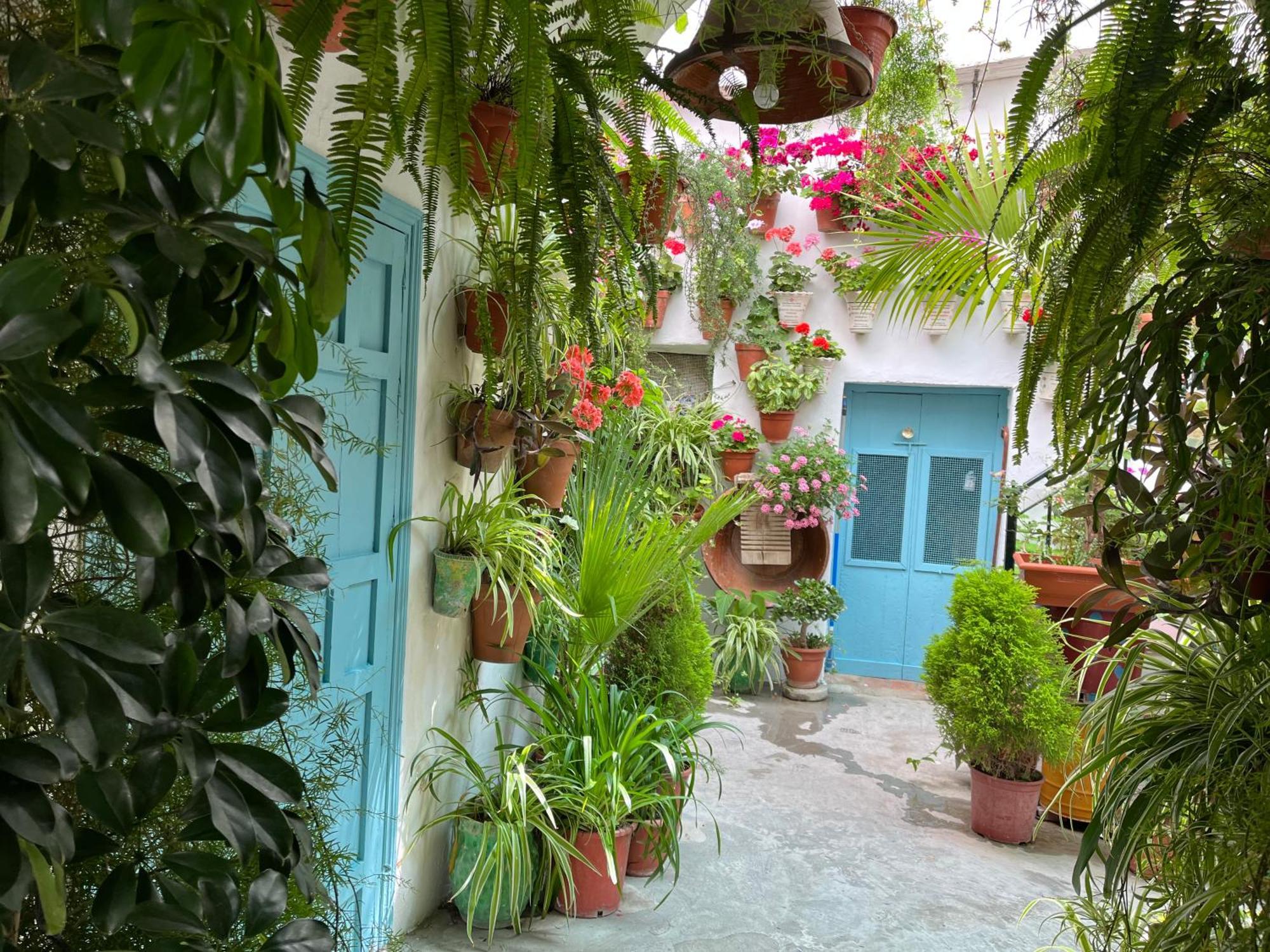Apartamento La Muralla Vejer de la Frontera Eksteriør billede